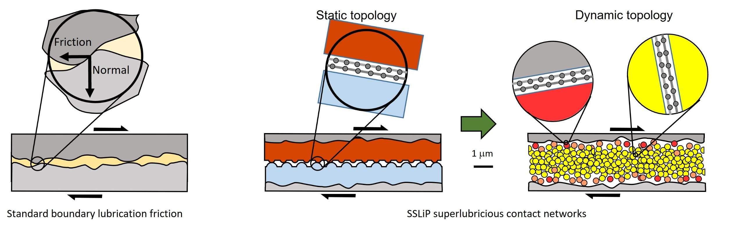 a diagram of the idea behind the SSLiP project