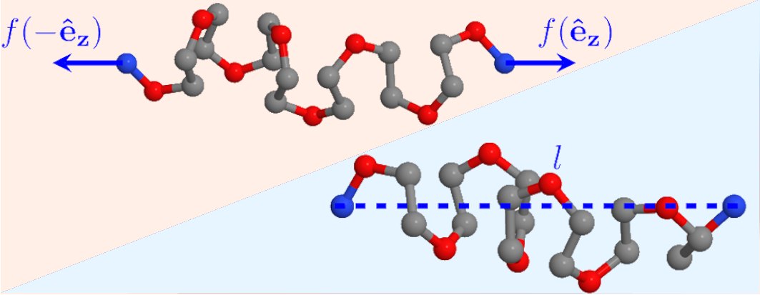 an atomistic simulation of two polyethylene-oxide molecules being stretched